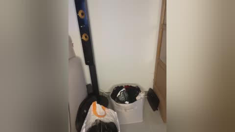 Media: Video of a cluttered, narrow hallway with a black vacuum cleaner, a white plastic bag, and a beige handbag. The walls are off-white, and the floor is light-colored, with a blue duster leaning against the wall.