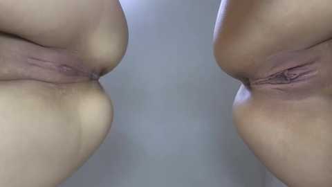 Media: Video of two female butts pressed together, showing shaved labia and a clear view of the anus. The skin tone is light brown, and the background is a plain, light gray wall.