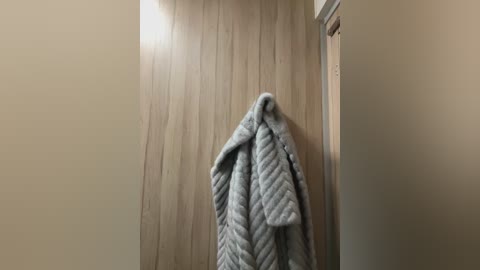 Media: A video of a beige-tiled bathroom wall with a light gray, quilted towel hanging from a wooden hook, adjacent to a cream-colored door. The setting is minimalist and cozy.