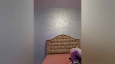 Media: Video of a small, neatly made bed with a tufted headboard, a purple pillow, and a pink bedspread, against a textured silver-grey wall.