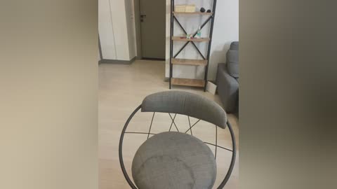 Media: Video of a modern living room with a grey upholstered chair with a metal ring base, wooden floor, and a grey sectional sofa. The background includes a wooden shelf and white walls.