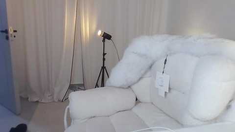 Media: Video of a white, plush, fur-covered sofa with a white background and a standing lamp. The room has soft, natural lighting, and the scene exudes a luxurious and cozy atmosphere.