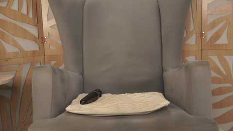 Media: Video of a gray, high-backed armchair with a black dildo resting on a white blanket. The background features wooden paneling with a geometric pattern.