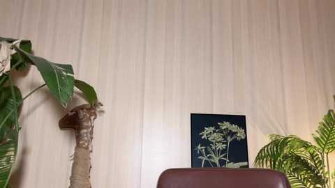 Media: Video of a beige wall adorned with a palm tree and ferns. A framed botanical print of ferns hangs on the wall, and a brown leather chair sits in the foreground.