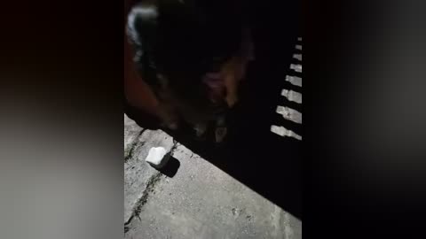 Media: Video of a person with a black dog, partially obscured by shadow. The person is holding a white object, possibly a bottle, on a cracked concrete sidewalk.