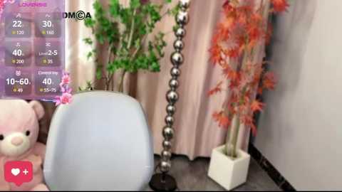 Media: A video of an indoor scene featuring a plush teddy bear, a light blue bowl, a potted plant, and a tall, beaded decorative object. The background includes a pink curtain and a white wall.