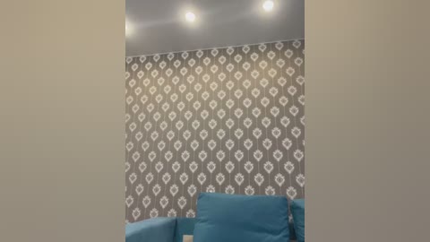 Media: Video of a modern living room featuring a gray and white damask-patterned wallpaper, a teal sofa, and recessed ceiling lights.