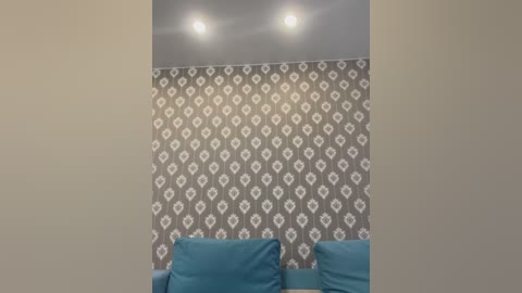 Media: Video of a room with a beige wall, a patterned gray wallpaper with white diamond shapes, and two teal armchairs at the bottom. Two ceiling lights illuminate the space.