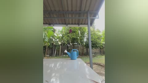 Media: Video of a garden shed with a blue watering can on a white table, surrounded by lush greenery and a wire fence.