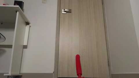 Media: Video of a narrow, white-walled hallway with a light wooden door in the center. A red vacuum cleaner is placed in front of the door, with a white shelf and an electrical outlet visible on the left.