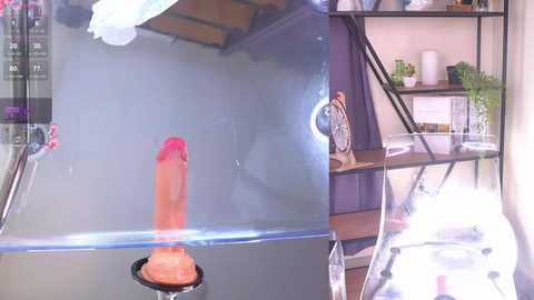 Media: Video of a realistic, life-sized pink dildo on a glass table, with a black bookshelf in the background containing plants and a lamp.