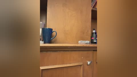 Media: A video of a wooden cabinet with a blue ceramic mug on the top shelf, a metal key holder on the lower right, and a dark bottle on the right. The cabinet is light brown, with a smooth texture.