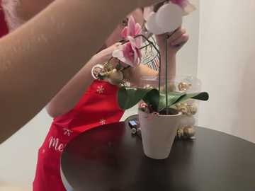 Media: Video of a child with light skin and blonde hair, wearing a red shirt, arranging a miniature Christmas tree with pink ornaments and a white angel figurine in a white cup.