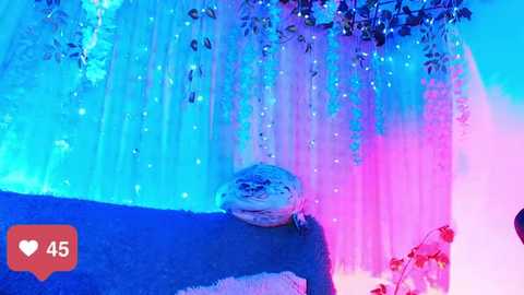 Media: Video of a bearded dragon lizard perched on a rock, surrounded by glowing, ethereal blue and pink lights resembling a magical, otherworldly forest.