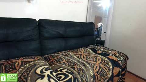 Media: Video of a black leather couch with a colorful, geometric-patterned blanket. Background shows a white wall and an open doorway to a cluttered room with visible clothes and a white sink.