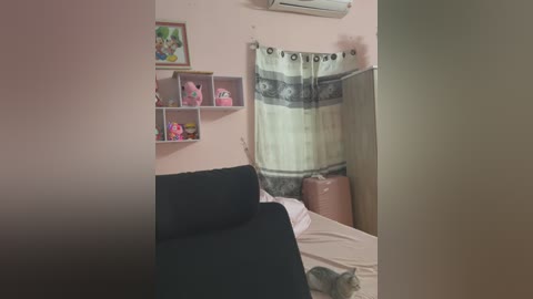 Media: Video of a small, cozy bedroom with light pink walls, featuring a black couch, a bed with white sheets, a white curtain with gray patterns, a pink storage unit, and a cat.