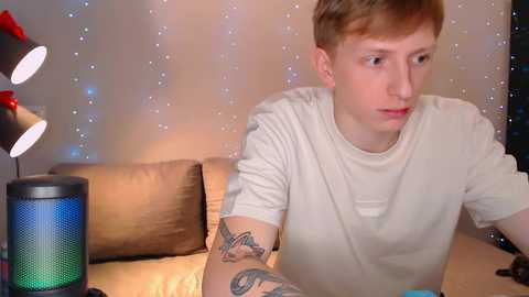 Media: Video of a young, pale-skinned, red-haired man with a tattoo sleeve, wearing a beige t-shirt, sitting on a beige couch, illuminated by colorful LED lights, in a cozy room with a white wall and a red lamp.