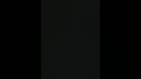 Media: A video of a tall, slender, vertical black object against a pitch-black background, creating a stark contrast. The object's texture is smooth and reflective, with subtle light reflections suggesting a metallic or glassy surface.