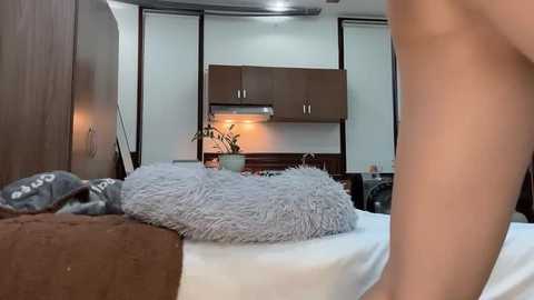 Media: Video of a modern, compact bedroom with a cozy bed, plush gray throw, and a small potted plant. The background features minimalist brown cabinets and a small kitchenette.