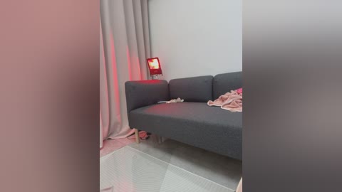 Media: Video of a minimalist room with a gray couch, pink and white clothing scattered on the floor, beige curtains, and a red lamp on the left.