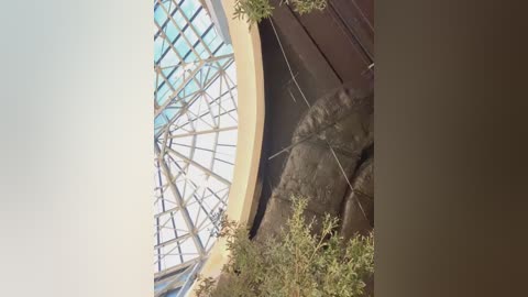 Media: A video of an indoor zoo exhibit featuring a large, colorful glass dome ceiling and a rocky enclosure with a sleeping bear, surrounded by lush greenery. The bear's fur appears coarse and textured.