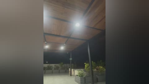 Media: Video of a modern outdoor space at night. The scene features a wooden canopy with bright lights, potted plants, and a distant figure. The background is dimly lit, creating a serene ambiance.