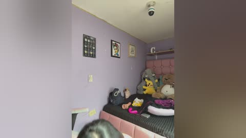 Media: A video of a small, cluttered bedroom with lavender walls. The bed, covered with black bedding, is adorned with stuffed animals, a pink pillow, and various items. Framed pictures hang on the wall. A person's head is visible in the foreground.