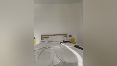 Media: A video of a minimalist, unmade bed in a plain white room with a wooden headboard. The bed has grey sheets, a white pillow, and a yellow bedside lamp. The room appears sparsely furnished.