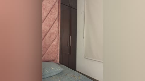 Media: A video of a narrow, compact bedroom with a bed partially visible, featuring a light blue bedspread with floral patterns and a pink, patterned pillow. The background includes dark wooden wardrobes and a beige wall with a white curtain.