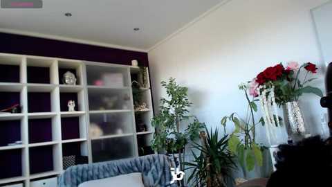 Media: Video of a modern living room with white walls, purple accent wall, white shelving unit, potted plants, red roses, and a plush chair.