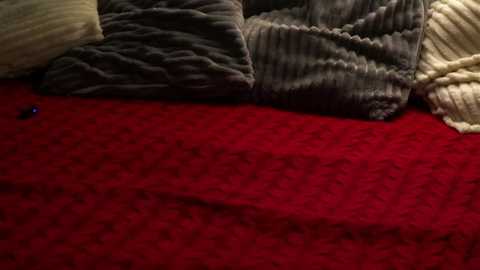 Media: Video of a cozy bed with a red, textured blanket and various pillows in shades of gray, beige, and cream, creating a warm and inviting atmosphere.