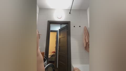 Media: A video of a narrow, dimly lit bathroom with white tiled walls, a partially open door revealing a second room, towels hanging, and a ceiling light.