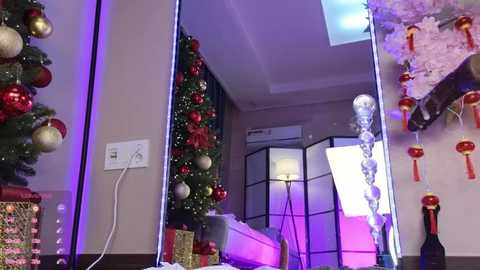 Media: Video of a festive living room with a decorated Christmas tree, red and gold ornaments, a silver hanging decoration, and a large mirror reflecting the room's holiday decor.