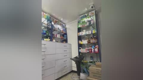 Media: Video of a well-organized, brightly lit storage room with white cabinets and shelves filled with neatly arranged household items, including cleaning supplies and food products.