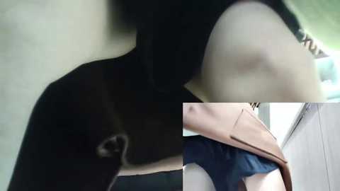 Media: Video collage: Top left, black cat with white nose and face; top right, close-up of person in black sleeve; bottom, close-up of person in blue shorts and brown belt.