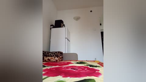 Media: A video of a minimalist bedroom with a white fridge, leopard-print blanket, and a red and green floral bedspread; the room is plain with white walls and a simple ceiling light.