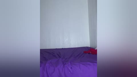 Media: A video of a minimalist bedroom corner with a bed covered in purple bedding and a red pillow, set against white walls and a vertical white pillar.