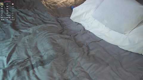 Media: Video of a neatly made bed with a gray quilt, a white pillow, and a brown pillow. The bedding appears crisp and orderly, suggesting a well-kept room.