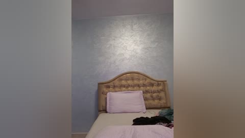 Media: Video of a modest bedroom with a light blue textured wall, a beige tufted headboard, a neatly made bed with a pink pillow and a light sheet, and a pile of clothes on the floor.