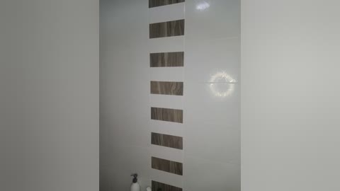 Media: Video of a minimalist bathroom with white walls, a vertical strip of dark wood and light gray tiles, and a small, white, round soap dish on the right.