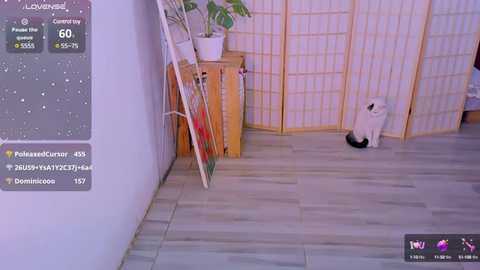 Media: A video captures a white cat sitting in a corner of a modern room with light wood floors, light gray walls, and a sliding wooden screen.