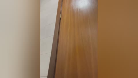 Media: Video of a wooden door with a smooth, polished texture, set against a beige wall, featuring a subtle reflection and slight grain pattern.