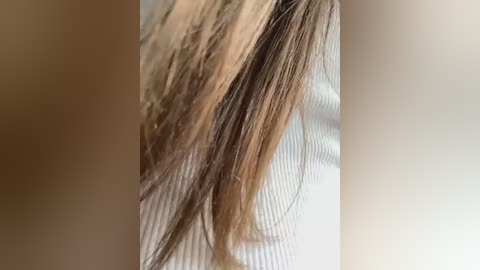 Media: Video of a close-up, side view of a person's hair, featuring light brown and blonde strands, and a textured white ribbed shirt background.