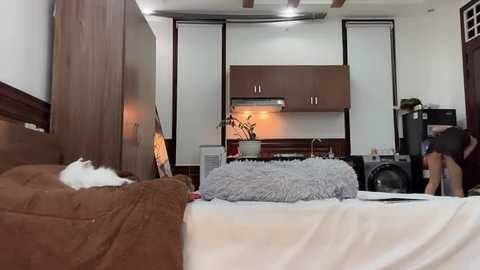 Media: Video of a cozy, modern bedroom with wooden furniture, a fluffy white cat on a brown blanket, and a woman in a black top and jeans near a washer and dryer.