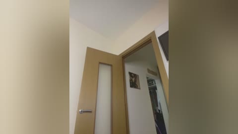 Media: Video of a narrow, beige hallway with a wooden door and frosted glass panels, leading to a partially visible room with framed artwork and a dark interior.