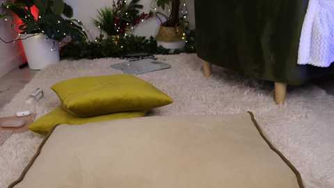 Media: Video of a cozy living room with a beige carpet, green throw pillows, a white chair, and a Christmas tree adorned with fairy lights.