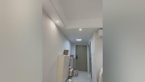 Media: Video of a narrow, well-lit hallway with pale walls and white ceiling. A beige cabinet, brown box, and small items are on the left. Door, air conditioner, and window on the right.