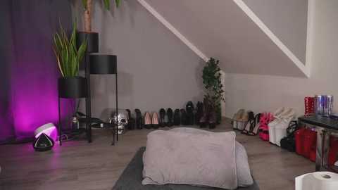 Media: Video of a modern attic room with a gray carpet, black shoes lined up against the wall, a potted plant, and a white chair.