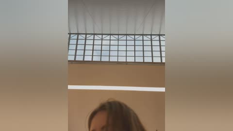 Media: Video of a woman with long brown hair, captured from below, against a backdrop of a modern, geometric glass ceiling. The image has a muted, soft focus effect.