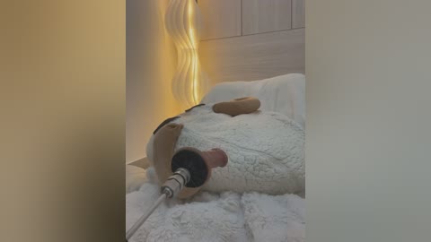 Media: Video of a small, tan-colored dog with a white coat lying on a white, fluffy blanket. The dog is under a white, wavy light source, and a black, cylindrical device is placed on its head.